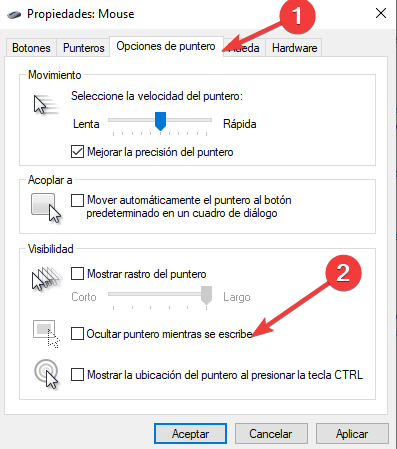 Ocultar puntero mientras se escribe windows 10