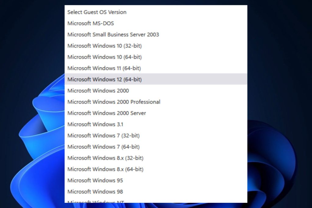 ISO di Microsoft Windows 12 a 64 Bit Non è Reale, per Ora